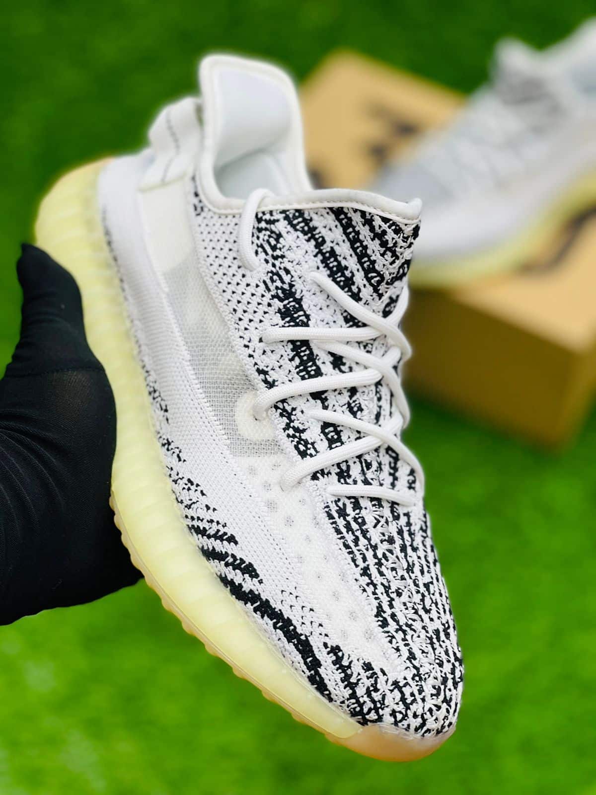 adidas yeezy zebra